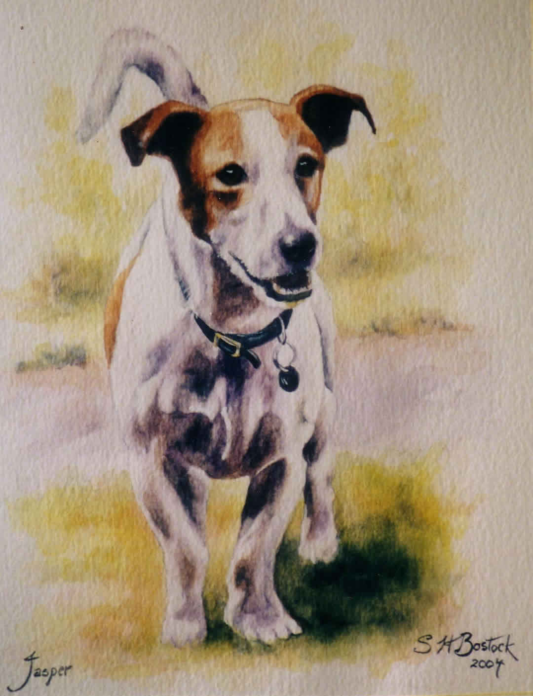 Jack Russell